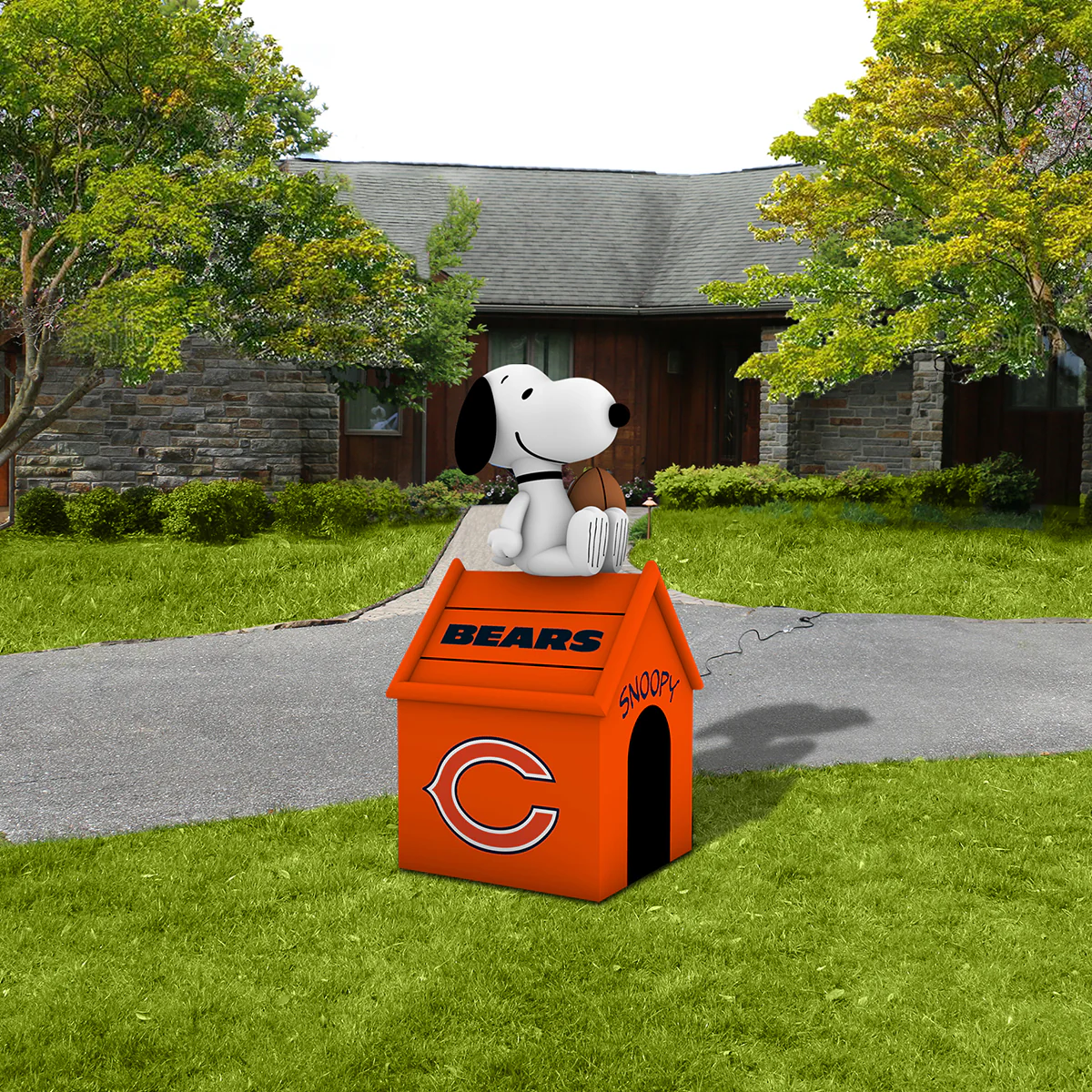 Product image 24