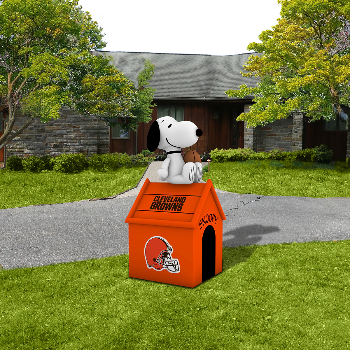 Product image 31